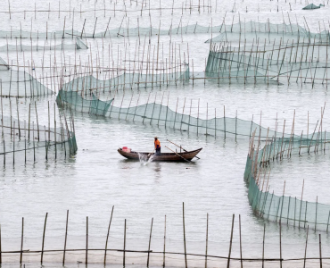 De las carpas a los automóviles: por qué China depende menos de las exportaciones acuícolas
